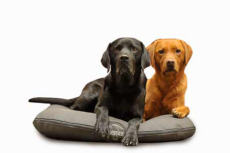 blacky-murmel Blacky und Murmel